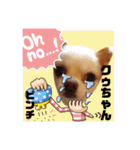 チワワのクゥちゃん1（個別スタンプ：12）