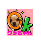 チワワのクゥちゃん1（個別スタンプ：18）
