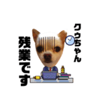 チワワのクゥちゃん1（個別スタンプ：31）