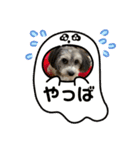 マルックスのセダくん（個別スタンプ：4）