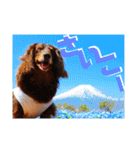 trueだよ☺️（個別スタンプ：11）