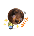 trueだよ☺️（個別スタンプ：13）
