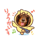 trueだよ☺️（個別スタンプ：14）