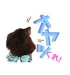 trueだよ☺️（個別スタンプ：15）
