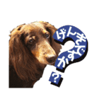 trueだよ☺️（個別スタンプ：18）