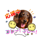 trueだよ☺️（個別スタンプ：19）