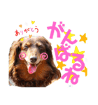trueだよ☺️（個別スタンプ：20）