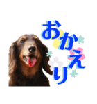 trueだよ☺️（個別スタンプ：22）