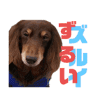 trueだよ☺️（個別スタンプ：28）