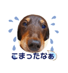 trueだよ☺️（個別スタンプ：30）