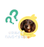 trueだよ☺️（個別スタンプ：31）