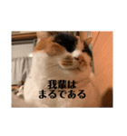 春のまる（個別スタンプ：6）