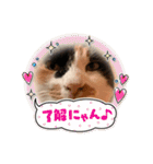 春のまる（個別スタンプ：11）