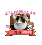 春のまる（個別スタンプ：14）