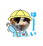 春のまる（個別スタンプ：15）