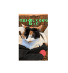 春のまる（個別スタンプ：16）