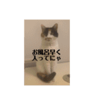 春のまる（個別スタンプ：18）