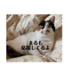 春のまる（個別スタンプ：30）