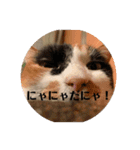 春のまる（個別スタンプ：34）