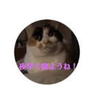 春のまる（個別スタンプ：35）