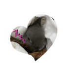 うさぎのもこちゃんᕱ⑅ᕱ♥（個別スタンプ：3）