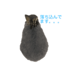 うさぎのもこちゃんᕱ⑅ᕱ♥（個別スタンプ：5）