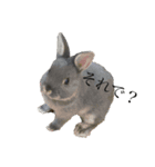 うさぎのもこちゃんᕱ⑅ᕱ♥（個別スタンプ：6）