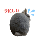 うさぎのもこちゃんᕱ⑅ᕱ♥（個別スタンプ：8）