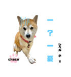 四字熟語のお勉強 レベル 小 ⅱ（個別スタンプ：2）