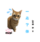 四字熟語のお勉強 レベル 小 ⅱ（個別スタンプ：9）