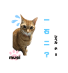 四字熟語のお勉強 レベル 小 ⅱ（個別スタンプ：12）
