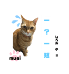 四字熟語のお勉強 レベル 小 ⅱ（個別スタンプ：14）