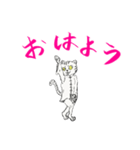 功夫猫 〜Kung-fu Cat〜（個別スタンプ：1）