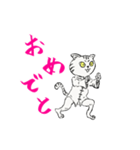 功夫猫 〜Kung-fu Cat〜（個別スタンプ：4）