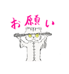 功夫猫 〜Kung-fu Cat〜（個別スタンプ：5）