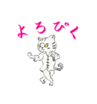 功夫猫 〜Kung-fu Cat〜（個別スタンプ：9）