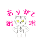 功夫猫 〜Kung-fu Cat〜（個別スタンプ：10）