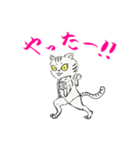 功夫猫 〜Kung-fu Cat〜（個別スタンプ：13）