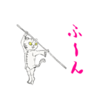 功夫猫 〜Kung-fu Cat〜（個別スタンプ：18）