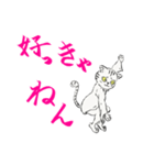 功夫猫 〜Kung-fu Cat〜（個別スタンプ：20）