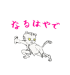 功夫猫 〜Kung-fu Cat〜（個別スタンプ：21）