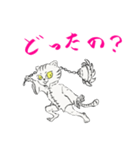 功夫猫 〜Kung-fu Cat〜（個別スタンプ：23）