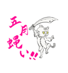 功夫猫 〜Kung-fu Cat〜（個別スタンプ：26）