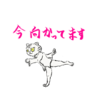 功夫猫 〜Kung-fu Cat〜（個別スタンプ：33）