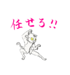 功夫猫 〜Kung-fu Cat〜（個別スタンプ：34）