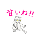 功夫猫 〜Kung-fu Cat〜（個別スタンプ：36）