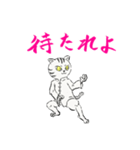 功夫猫 〜Kung-fu Cat〜（個別スタンプ：37）