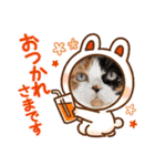 ラムとララ 猫大好きな人のスタンプ（個別スタンプ：14）