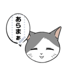 【メッセージスタンプ】猫タクのメッセージ（個別スタンプ：17）