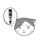 【メッセージスタンプ】猫タクのメッセージ（個別スタンプ：20）